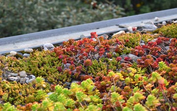 the cost of Knowle Fields green roof installation