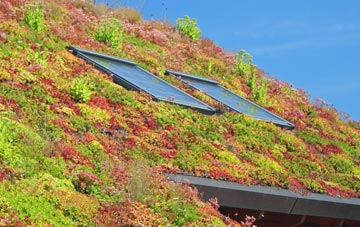 Knowle Fields living roof systems