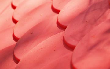 Knowle Fields plastic roof costs